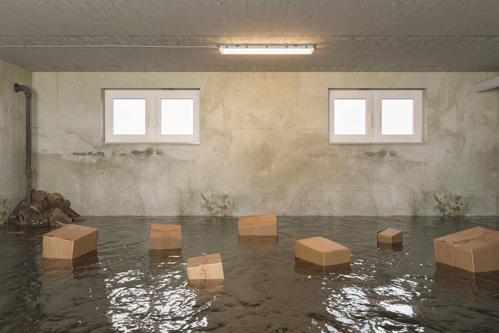 Everything You Need to Know About Basement Flooding Insurance Claims