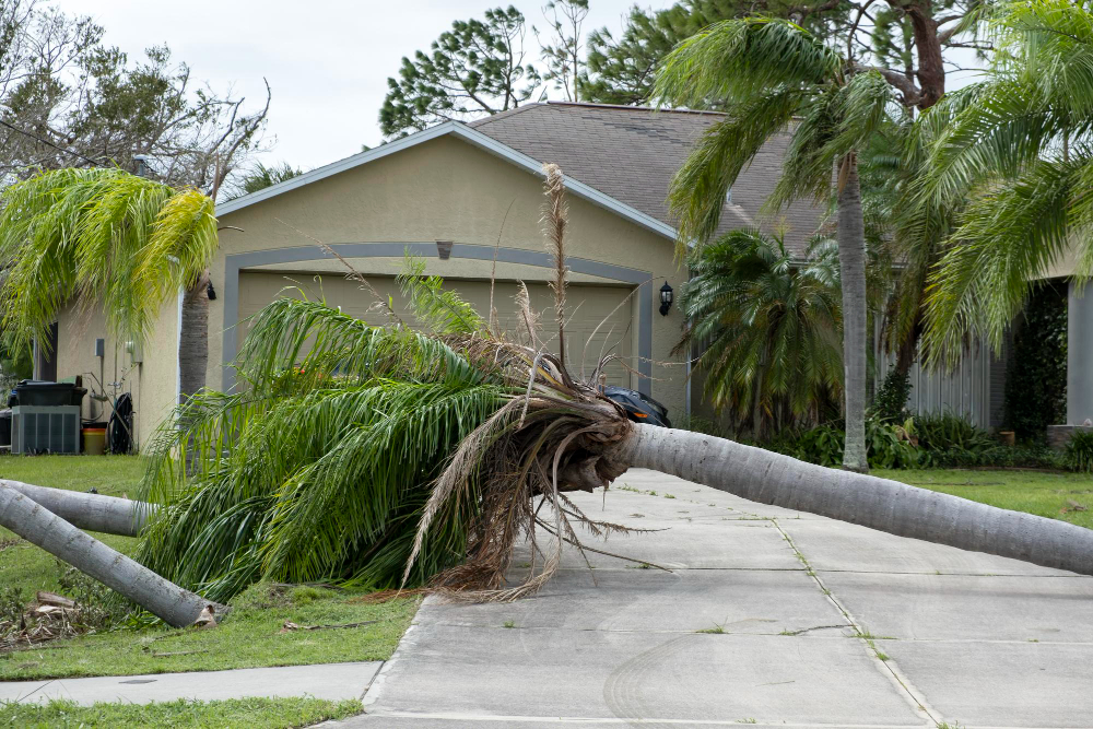 What to Do if a Hurricane Damages Your Home