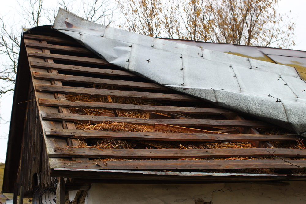 Maximize Your Roof Damage Insurance Claim with an Insurance Claims Adjuster