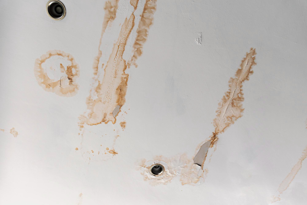 Navigating Water Damage: Why a Public Adjuster is Your Best Ally