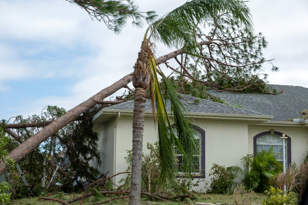 Hurricane Claims Recovery and Reconstruction