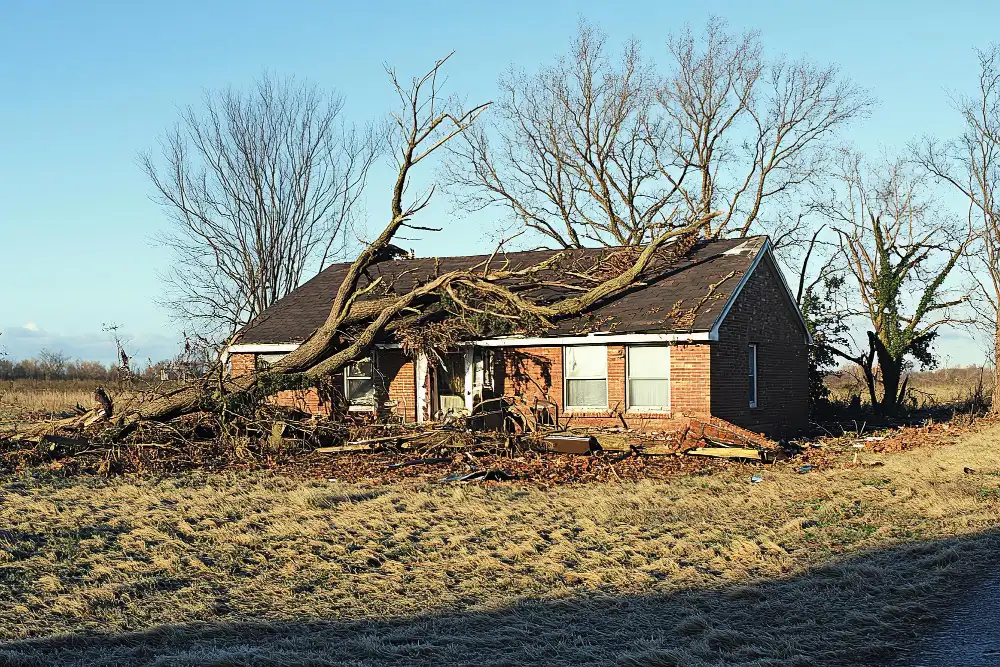 Top Reasons to Hire a Public Adjuster for Property Damage