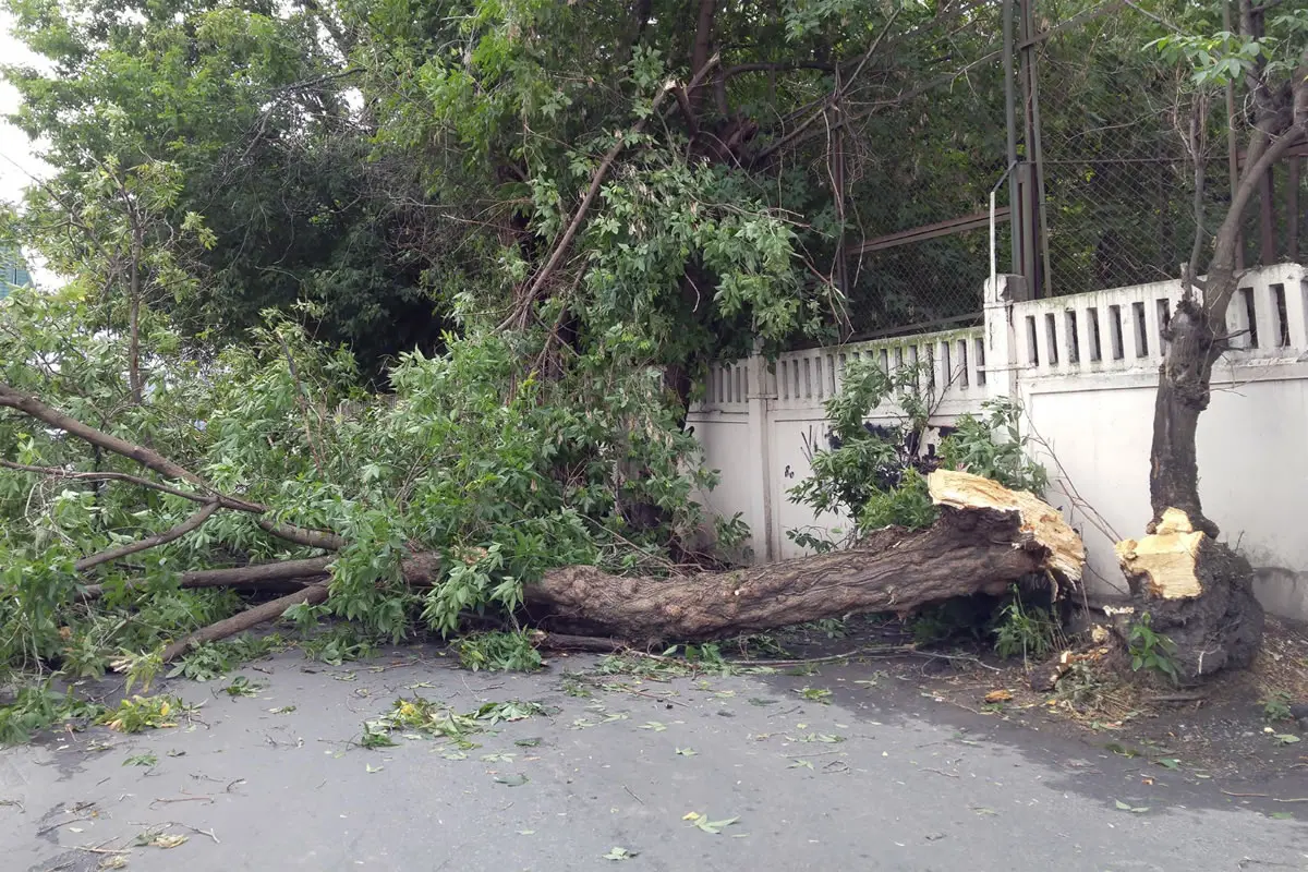 3 Types of Property Damage Often Covered by Homeowners’ Insurance Policies