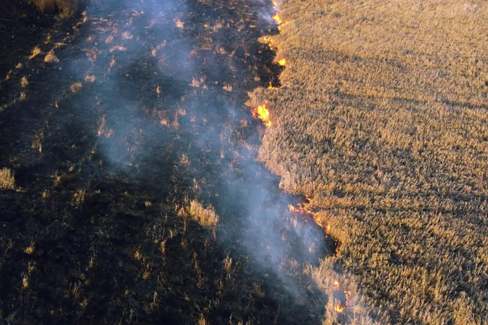 Understanding the Consequences of Wildfire Damage